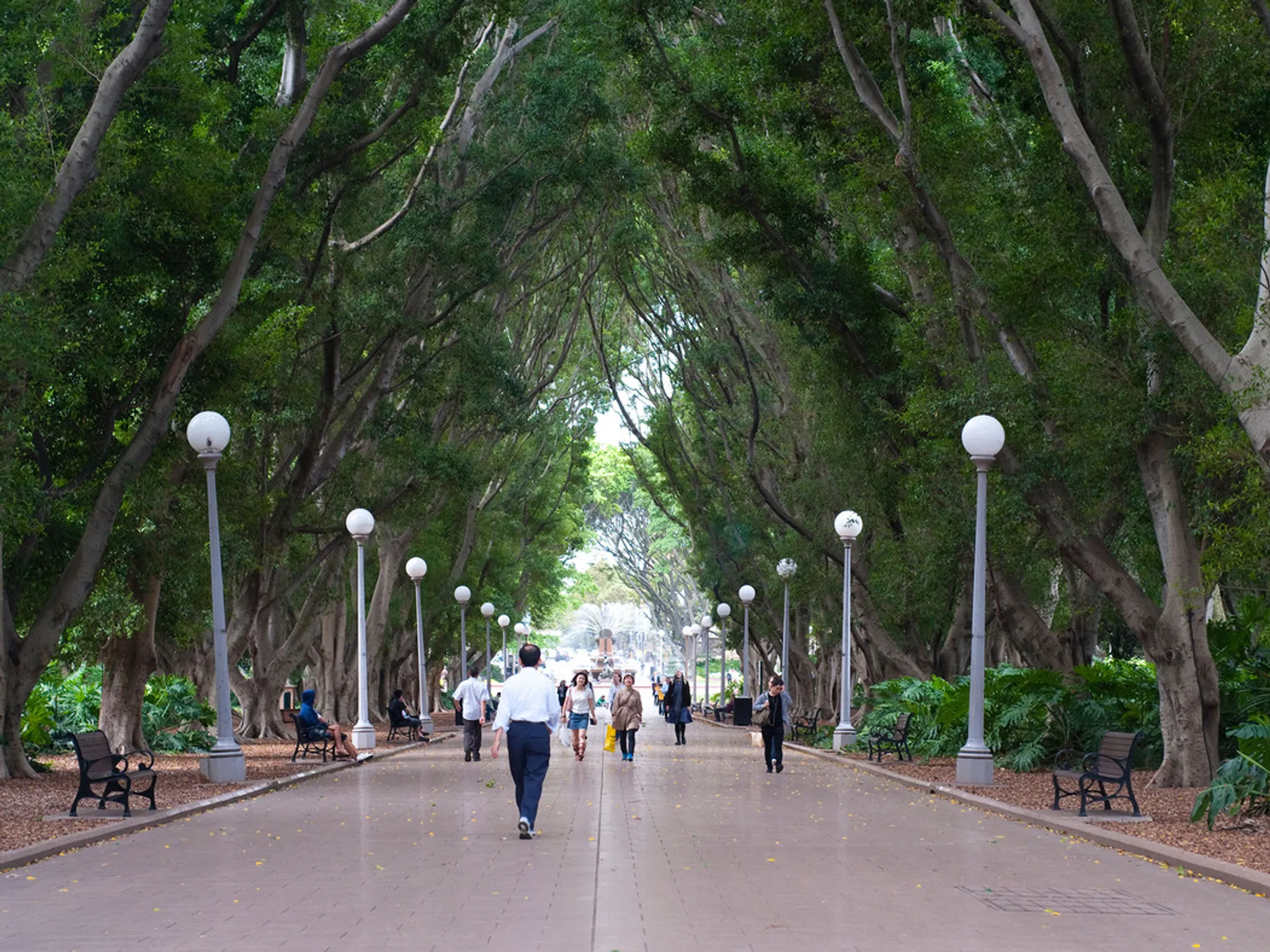 Walk & Talk with a Wellness Coach